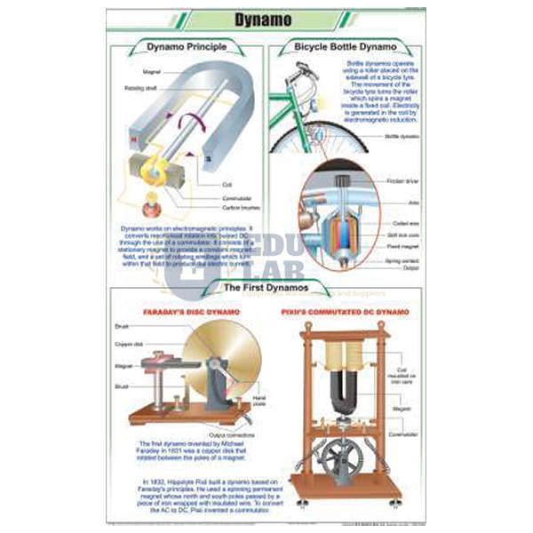 Dynamo Chart