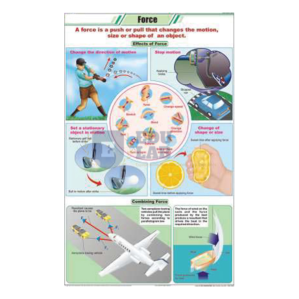 Force Chart