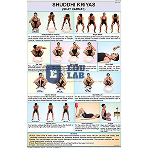 Shuddhi Kriyas Chart
