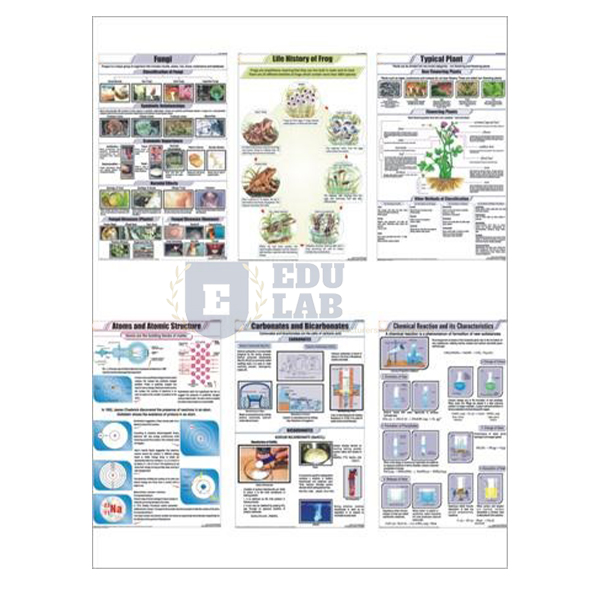 Science Educational Charts