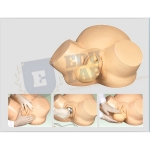 Midwifery Training Simulator