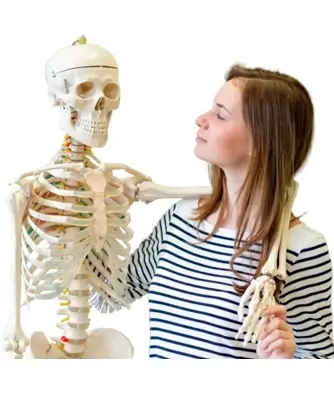 Educational Lab Instruments : - Manufacturer and Exporter of Scientific Laboratory Instruments